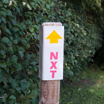 nxt.jpg